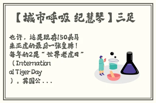 黑料不打烊吃瓜网澎湃反差